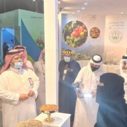 الدفاع الإماراتية تعلن تدمير باليستيين أطلقهما الحوثي تجاه البلاد