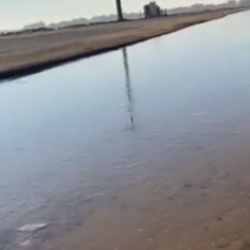 العثور على صخرة أثرية تحمل نقوشاً ثمودية في تيماء و3 مراحل لقراءتها تعود لأكثر من 2600 عام