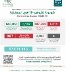 جازان.. القبض على مقيم باكستاني بحوزته 220 كيلوجرامًا من نبات القات المخدر