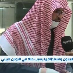 “الصبان”: نقل ٤٪ من أسهم أرامكو خطوة تعزز من المركز المالي للصندوق