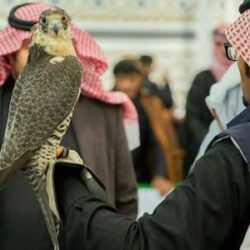 اختتام فعاليات “شتاء درب زبيدة” بمدينة لينة التاريخية