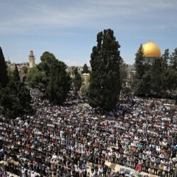 وزارة الاستثمار تختتم مشاركتها في المعرض الدولي للعقار MIPIM