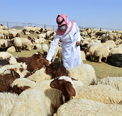 قائد القيادة المركزية الأمريكية يؤكد أن الهدف الأول للولايات المتحدة هو عدم امتلاك إيران لسلاح نووي