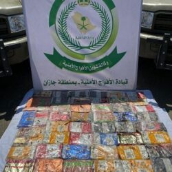 وزارة الدفاع تعلن عن 629 وظيفة شاغرة برئاسة أركان القوات البرية