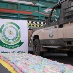 المملكة تستضيف قمة المجلس العالمي للسفر والسياحة الـ 22 في نوفمبر القادم