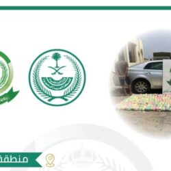 الأمين العام للجامعة العربية يُشارك ضمن وفد وزاري لبحث تداعيات الأزمة الأوكرانية على الدول العربية