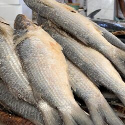 “المُزَيِّن” ينتظر زبائن ليلة العيد في جازان