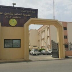 شاهد.. فريق إنقاذ ينقذ أوكرانيين علقا في وادي لجب بجازان