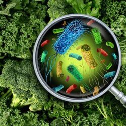 صحة جازان: استئصال ورم من القناة السمعية ممتدًا إلى المخيخ لأحد المرضى