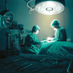 ترقية مدير فرع هيئة الاحصاء الدكتور بكر حمزة إلى المرتبة الثالثة عشر