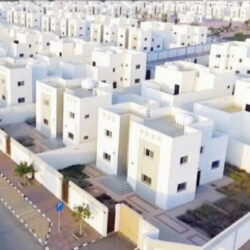 جازان.. القبض على شخص بحوزته 174 كلجم من نبات القات المخدر