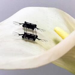 استراتيجية النقل والمواصلات ورؤية 2030