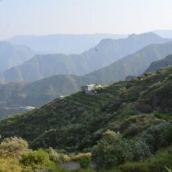 الأفواج الأمنية بمنطقة جازان تقبض على مواطن بحوزته (125) كيلوجراماً من نبات القات المخدر