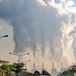 منسوبو ومنسوبات إدارة تعليم صبياء تهنئ المسملي