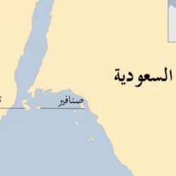 قمة جدة (مرحلة جديدة) في العلاقات العربية الأمريكية