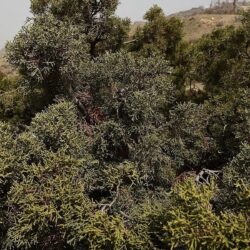 إطلاق فعاليات برنامج موهبة الإثرائي الأكاديمي الأحد القادم