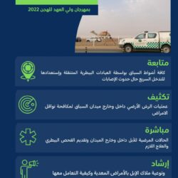 عسير.. تجارب سياحية ممتعة بين التراث والطبيعة