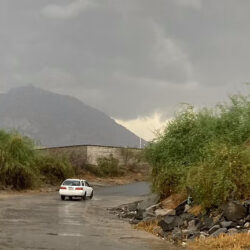 1301 جولة و802 بلاغاً تباشرها “تجارة جازان” خلال إجازة العيد