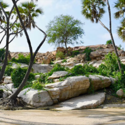 بيلوسي تكشف عن الدول التي ستزورها خلال جولتها الآسيوية.. ومفاجأة بشأن سفرها لـ”تايوان”