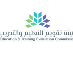 أمانة الأحساء تُكمل تركيب أكثر من 119 ألف عمود إنارة موفر للطاقة في المحافظة