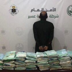 “الكهرباء” تحذر من التجاوب مع رسائل تطالب عملاءها بسداد فواتير الاستهلاك بروابط وهمية