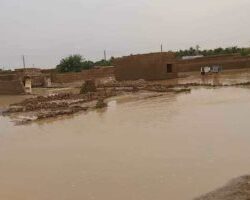 محافظ الطائف يُدشن حاضنة الياسمين لدعم وتمكين الأسر المنتجة