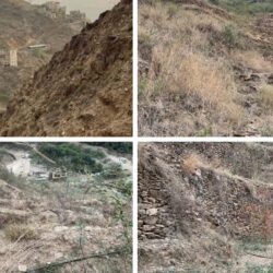 القبض على مواطن نقل مخالفين لنظام أمن الحدود في جازان