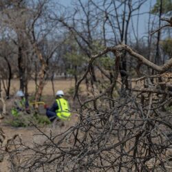 وزارة الداخلية تعلن فتح باب القبول والتسجيل لقوات أمن المنشآت على رتبة (جندي) للكادر النسائي