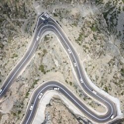 مهرجان تمور بريدة يسهم في تعزيز الشراكات الزراعية