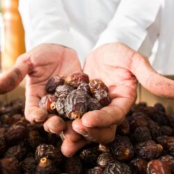 الحكومةُ اليمنيةُ ترحِّبُ بإعلان المبعوث الأممي تمديد الهدنة شهرين إضافيين