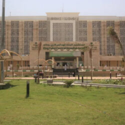 القبض على مواطن لنقله في مركبة يقودها 14 مخالفًا لنظام أمن الحدود من الجنسية الإثيوبية