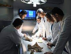 بعد 20 عامًا من النسيان.. ملف مرافق “قحمة جازان” يتحرك لـ”الإفادة”