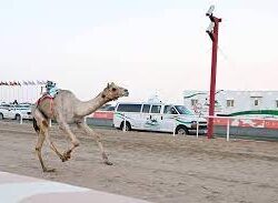 ميناء الملك عبدالله الأول عالميًّا في التقرير الدولي لمؤشر الموانئ