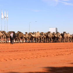 أوكرانيا تخطط لبيع أراضيها ل بولندا.. واستخبارات روسيا تكشف التفاصيل