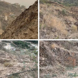 مصدر مسؤول بـ”وزارة النقل”: لا صحة لفرض رسوم على الطرق خلال العام القادم