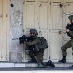 البيئة” تحظر صيد أسماك الكنعد على ساحل الخليج العربي لمدة شهرين