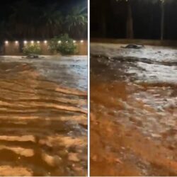 منتخبات فلسطين والسعودية ومصر والجزائر يتأهلان إلى الدور نصف النهائي لكأس العرب للشباب