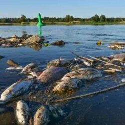 تنفيذ أعمال الصيانة الدورية للحجر الأسود