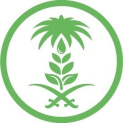 المملكة تتقدّم في مؤشرات التنافسية العالمية ذات العلاقة بالتعليم لعام 2022