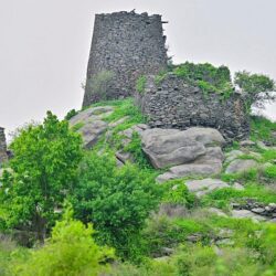 المؤسسة العامة للتدريب التقني تطلق مبادرة “رافد” لتسهيل دخول المتدربين في سوق العمل