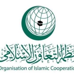 أمين الجامعة العربية يبحث مع رئيس مفوضية الاتحاد الأفريقي تعزيز التعاون العربي الأفريقي