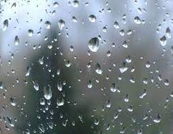 نائب رئيس غرفة جازان: هدفنا مضاعفة حجم الاستثمار المحلي والأجنبي بالمنطقة