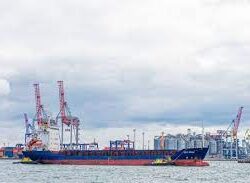 “الحصيلة الحقيقية قد تكون أكبر”.. إيران: 41 شخصًا قُتلوا في الاحتجاجات