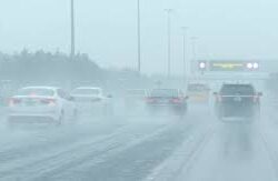 سمو أمير جازان يتسلم التقرير الختامي لمبادرة “يستفتونك”