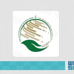 أبو الغيط: الانفتاح على الآخر والحوار والتسامح عناصر لا غنى عنها لبناء مجتمعات مبدعة