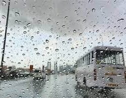 أمير جازان : جهود جامعة جازان داعم لإنتاج البن في المنطقة