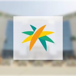 مستفيدو مخطط سكني بـ”أنوار جازان” يعانون من “استمرار الظلام”