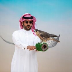 أمانة جازان تزرع أكثر من 100 شتلة بمحافظة أحد المسارحة