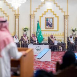 انطلاق تمرين “ميدوزا – 12” بمشاركة القوات البحرية في مصر