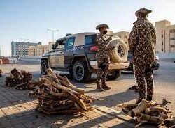 البرلمان الأوروبي يعلن تصنيف روسيا دولة راعية للإرهاب